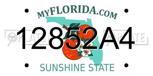 12852A4 Florida License Plate