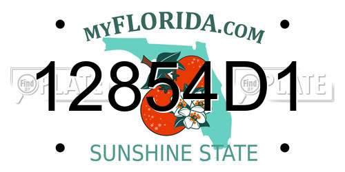 12854D1 Florida License Plate