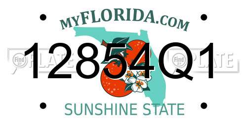12854Q1 Florida License Plate