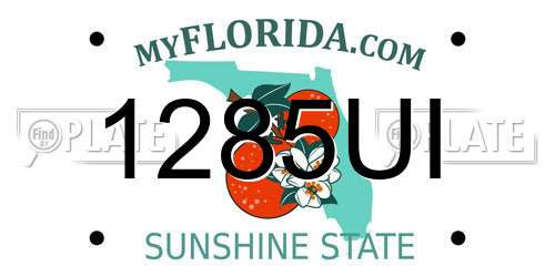 1285UI Florida License Plate