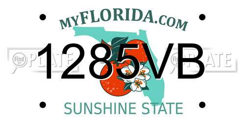 1285VB Florida License Plate