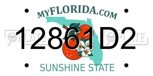 12861D2 Florida License Plate