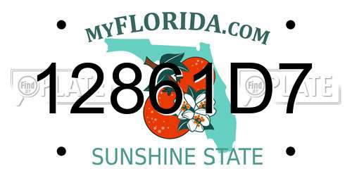 12861D7 Florida License Plate