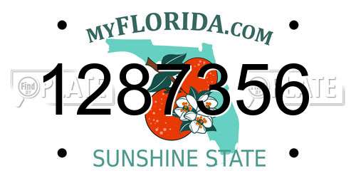 1287356 Florida License Plate
