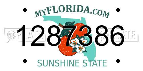1287386 Florida License Plate