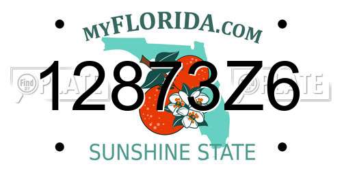 12873Z6 Florida License Plate