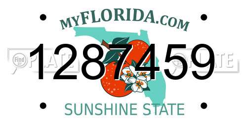 1287459 Florida License Plate