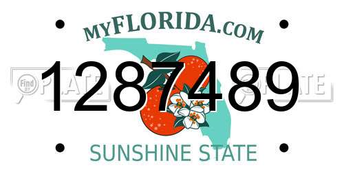1287489 Florida License Plate