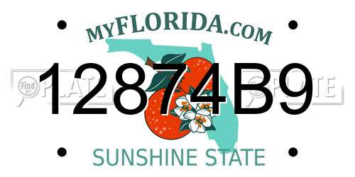 12874B9 Florida License Plate