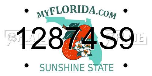 12874S9 Florida License Plate