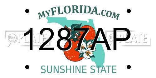 1287AP Florida License Plate
