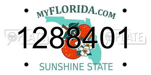 1288401 Florida License Plate