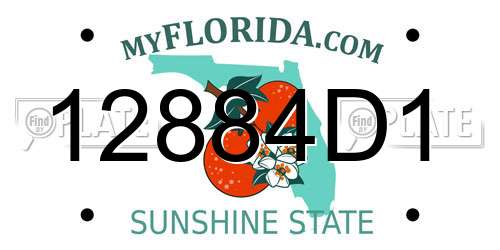 12884D1 Florida License Plate
