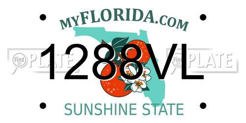 1288VL Florida License Plate