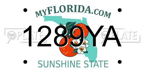 1289YA Florida License Plate