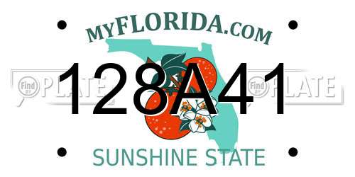 128A41 Florida License Plate
