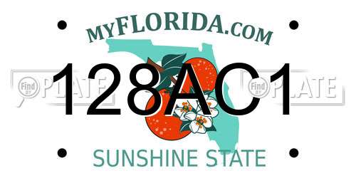 128AC1 Florida License Plate