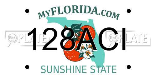 128ACI Florida License Plate