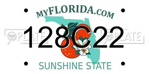 128C22 Florida License Plate