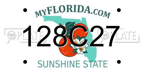 128C27 Florida License Plate