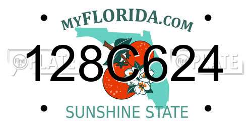 128C624 Florida License Plate