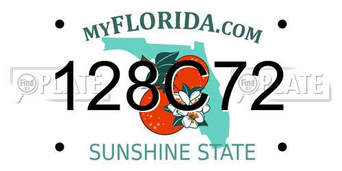 128C72 Florida License Plate