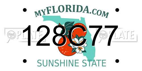 128C77 Florida License Plate