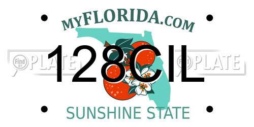 128CIL Florida License Plate