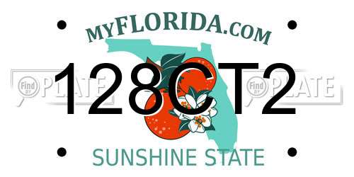 128CT2 Florida License Plate