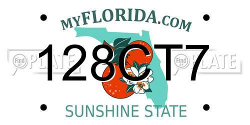 128CT7 Florida License Plate