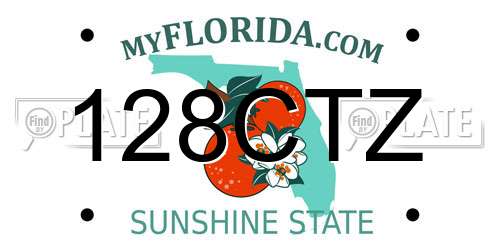 128CTZ Florida License Plate