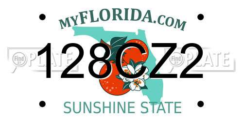 128CZ2 Florida License Plate