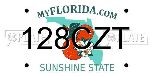 128CZT Florida License Plate