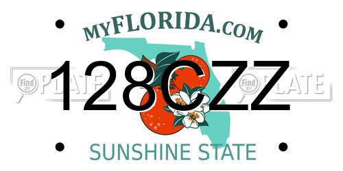 128CZZ Florida License Plate