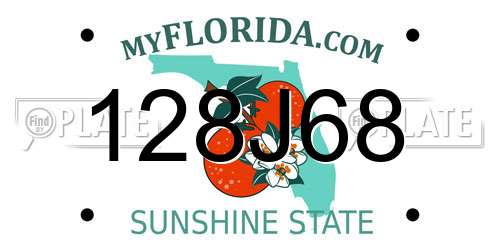 128J68 Florida License Plate