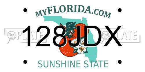 128JDX Florida License Plate