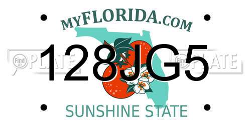 128JG5 Florida License Plate