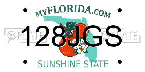 128JGS Florida License Plate