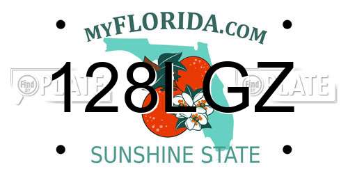 128LGZ Florida License Plate