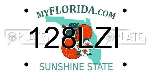 128LZI Florida License Plate