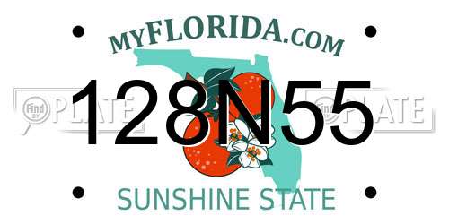128N55 Florida License Plate