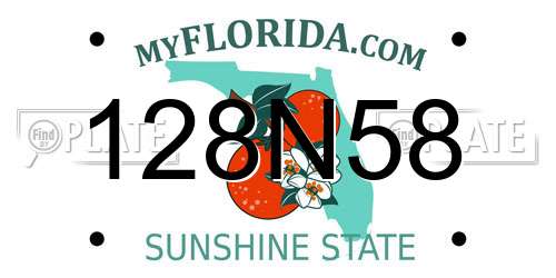 128N58 Florida License Plate