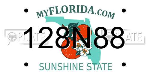128N88 Florida License Plate