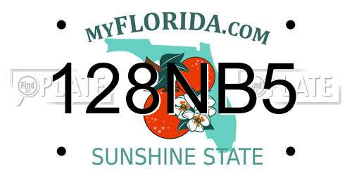 128NB5 Florida License Plate
