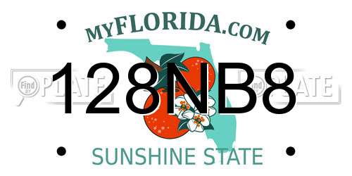 128NB8 Florida License Plate