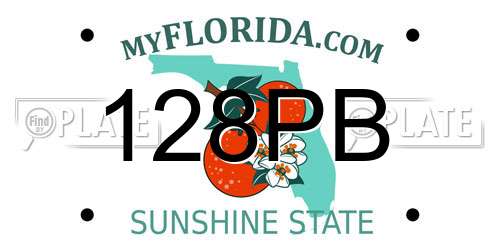 128PB Florida License Plate
