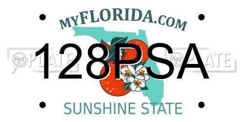 128PSA Florida License Plate