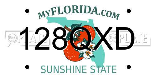 128QXD Florida License Plate