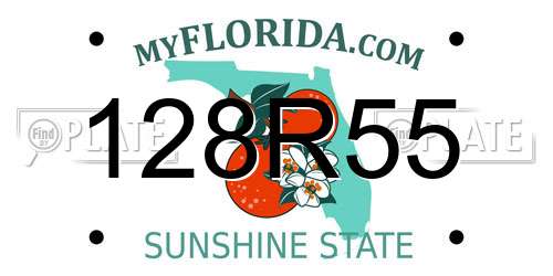 128R55 Florida License Plate