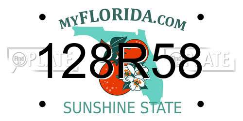 128R58 Florida License Plate